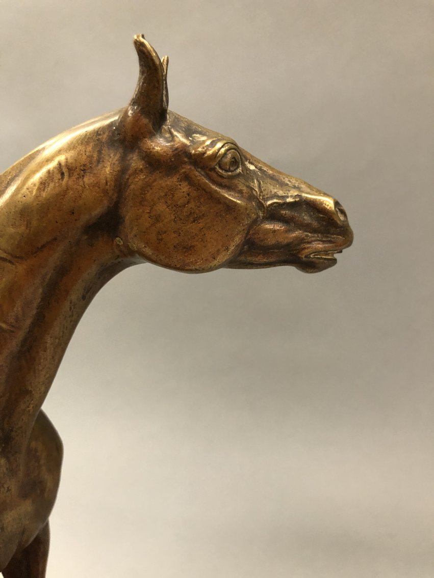 Image for Curated Collector #20