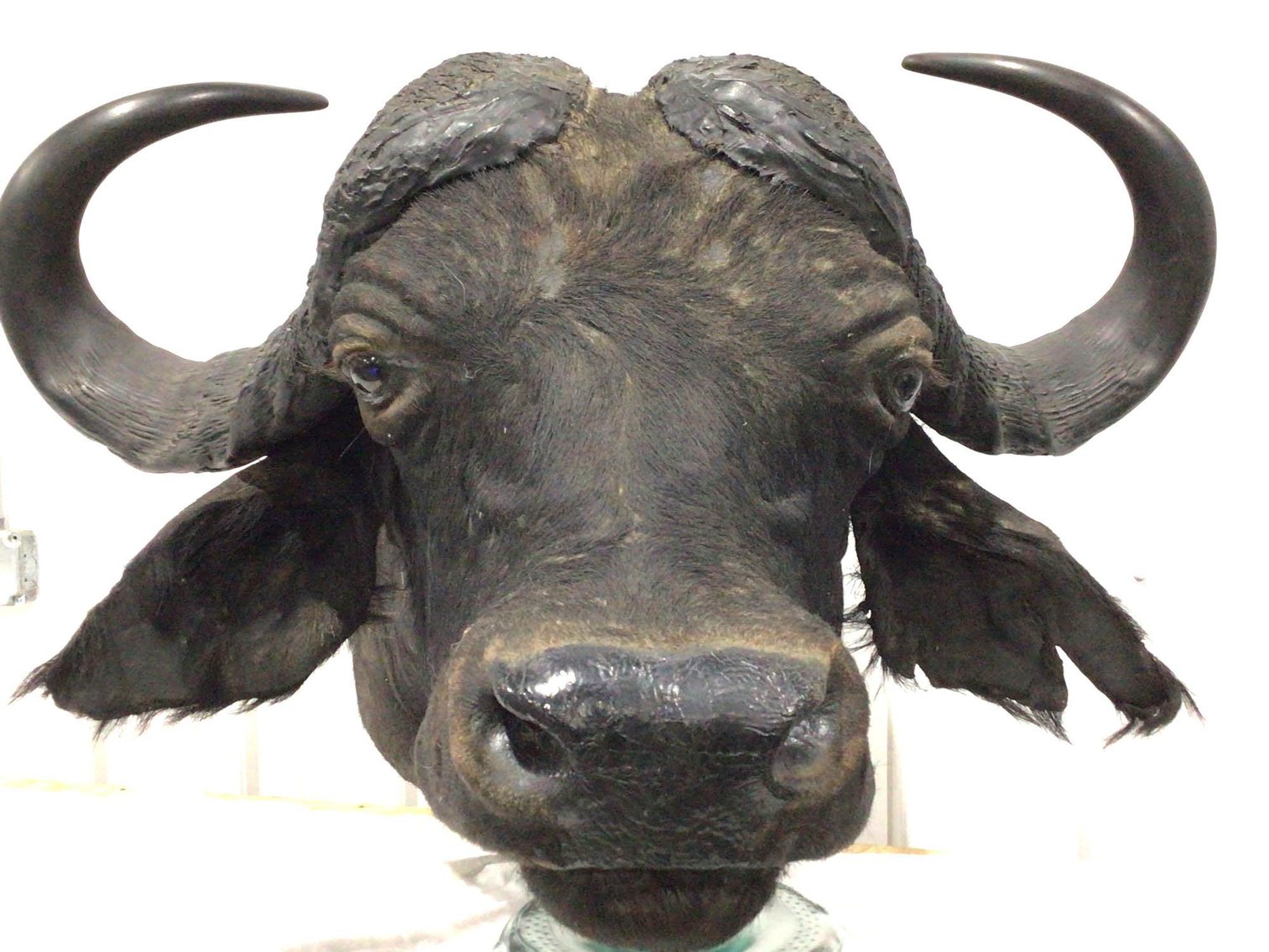 Image for Oldham Consignment Auction