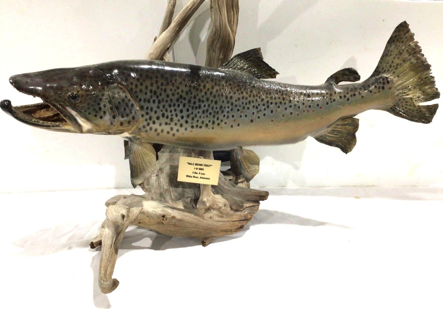 Image for Oldham Consignment Auction