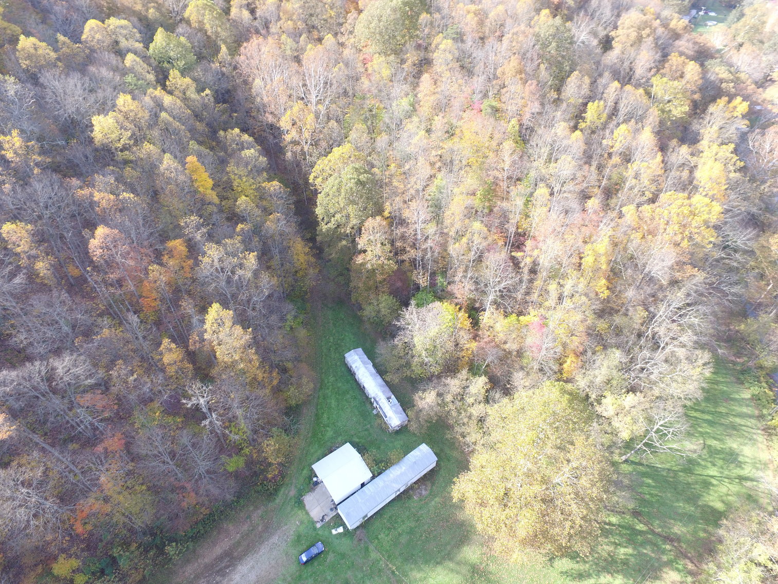 SOLD 82,500 66 Acres in Cooper’s Creek Selling to the Highest Bidder