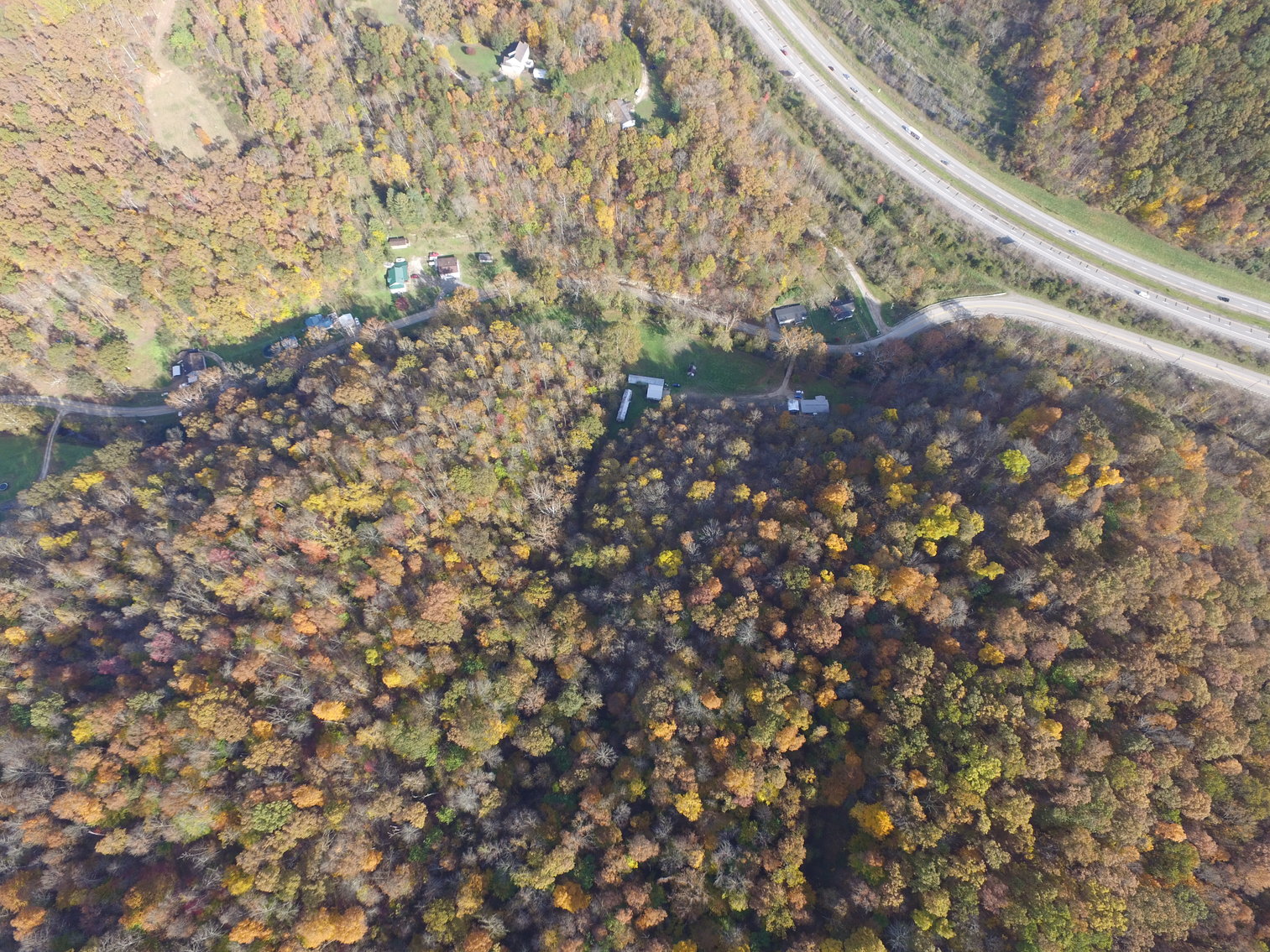 Image for SOLD $82,500 - 66 Acres in Cooper’s Creek Selling to the Highest Bidder