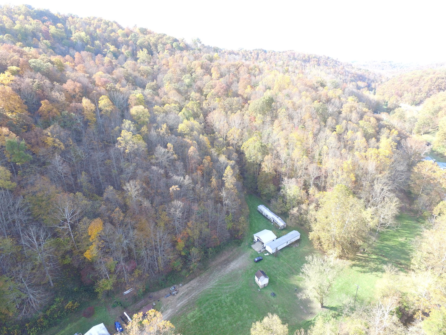 Image for SOLD $82,500 - 66 Acres in Cooper’s Creek Selling to the Highest Bidder