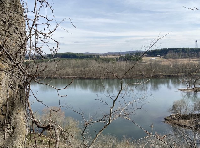 Image for Real Estate Auction Near The New River