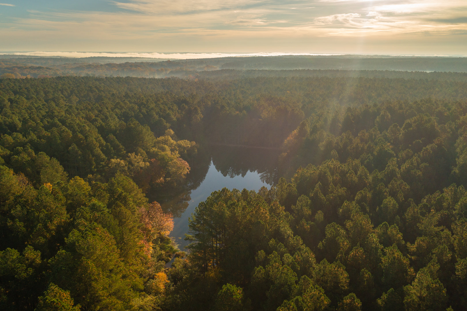 Image for 381 +/- Acre Timber Tract Located in Hart County, Georgia