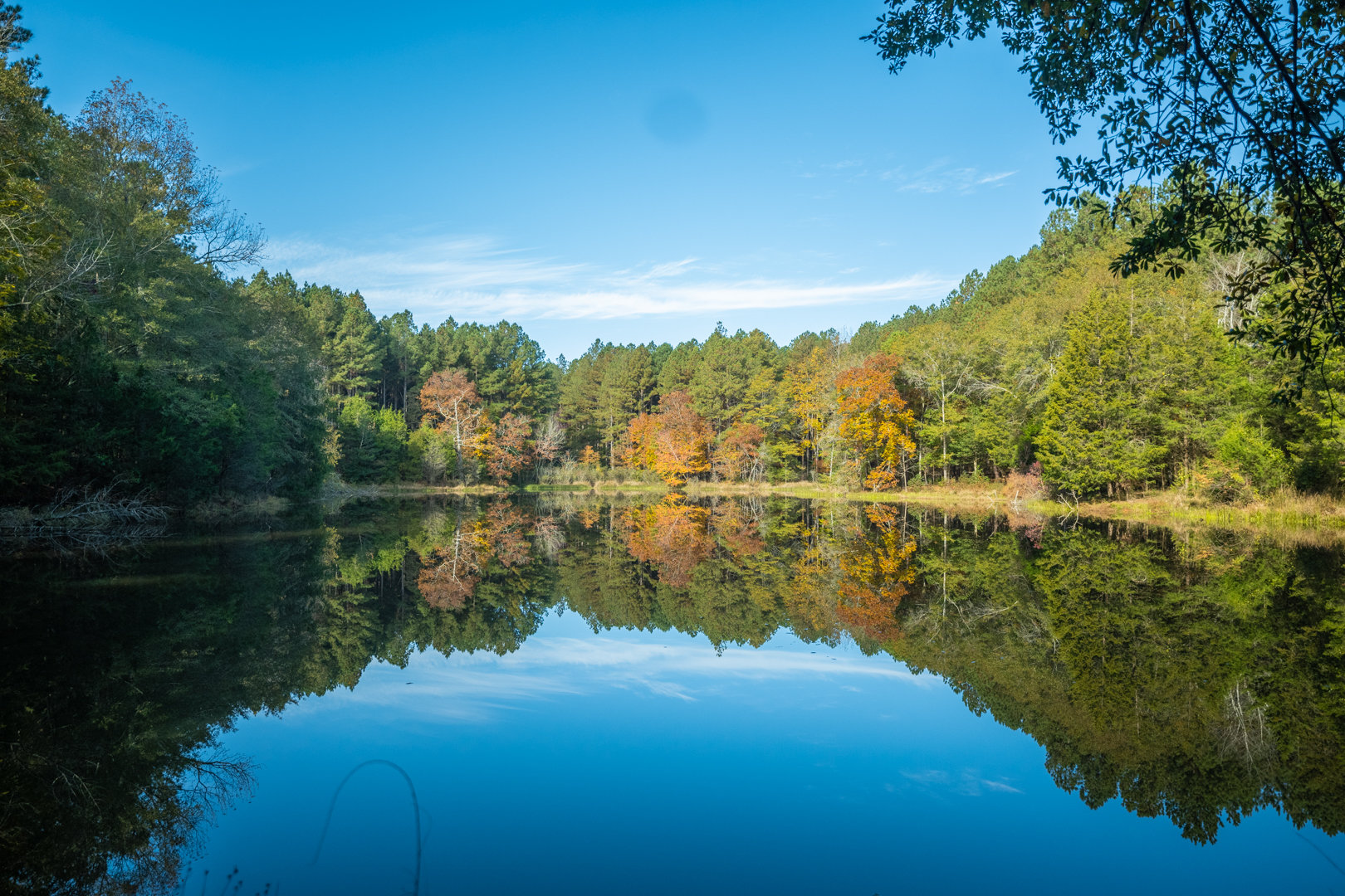 Image for 381 +/- Acre Timber Tract Located in Hart County, Georgia
