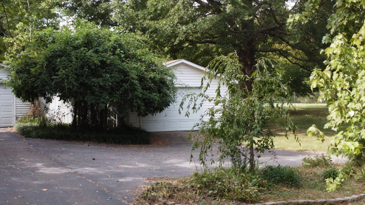 Image for ABSOLUTE ONLINE AUCTION