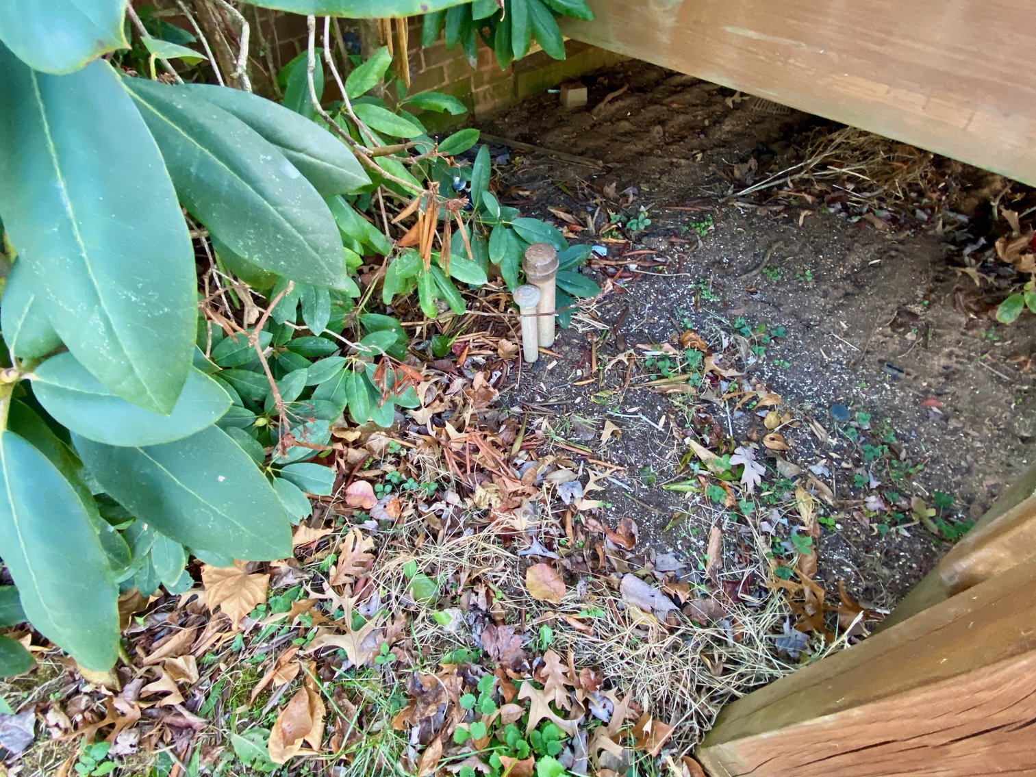 Image for 3 BR/1 BA Brick Home w/Detached 2 Car Garage/Shop on 2.68 +/- Acres in Greene County, VA