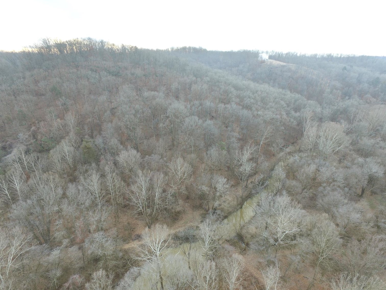 Image for SOLD $187,000 - 88.63+/- Acres in the Heart of Hurricane