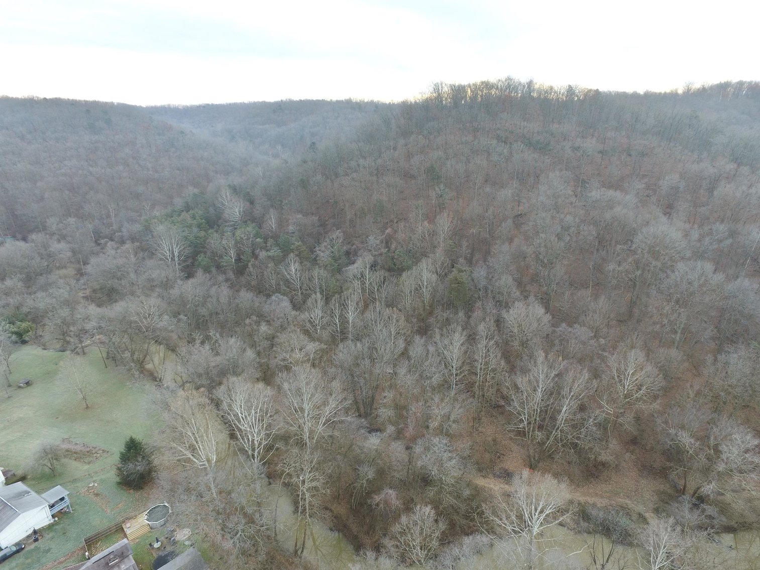 Image for SOLD $187,000 - 88.63+/- Acres in the Heart of Hurricane