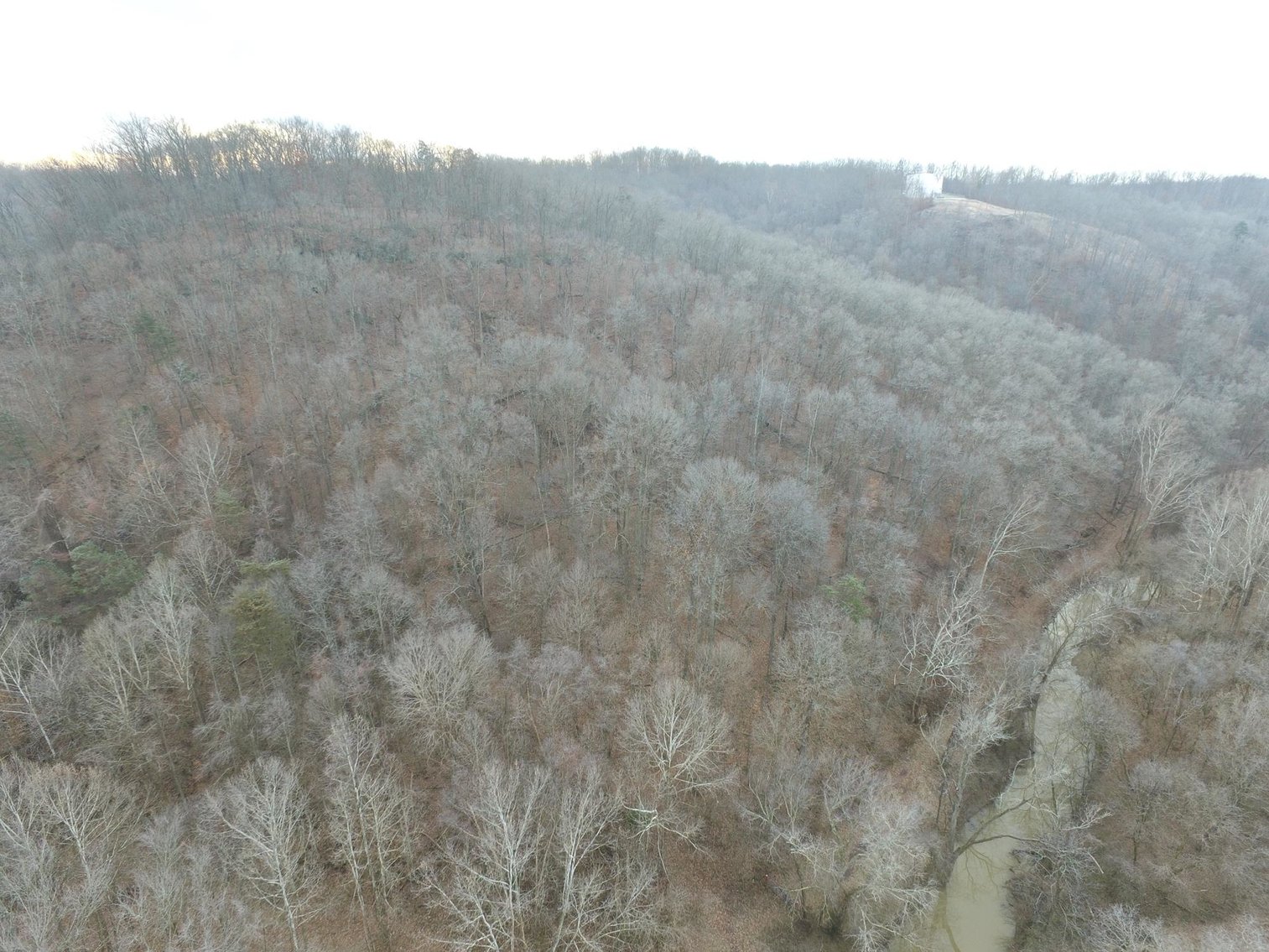 Image for SOLD $187,000 - 88.63+/- Acres in the Heart of Hurricane