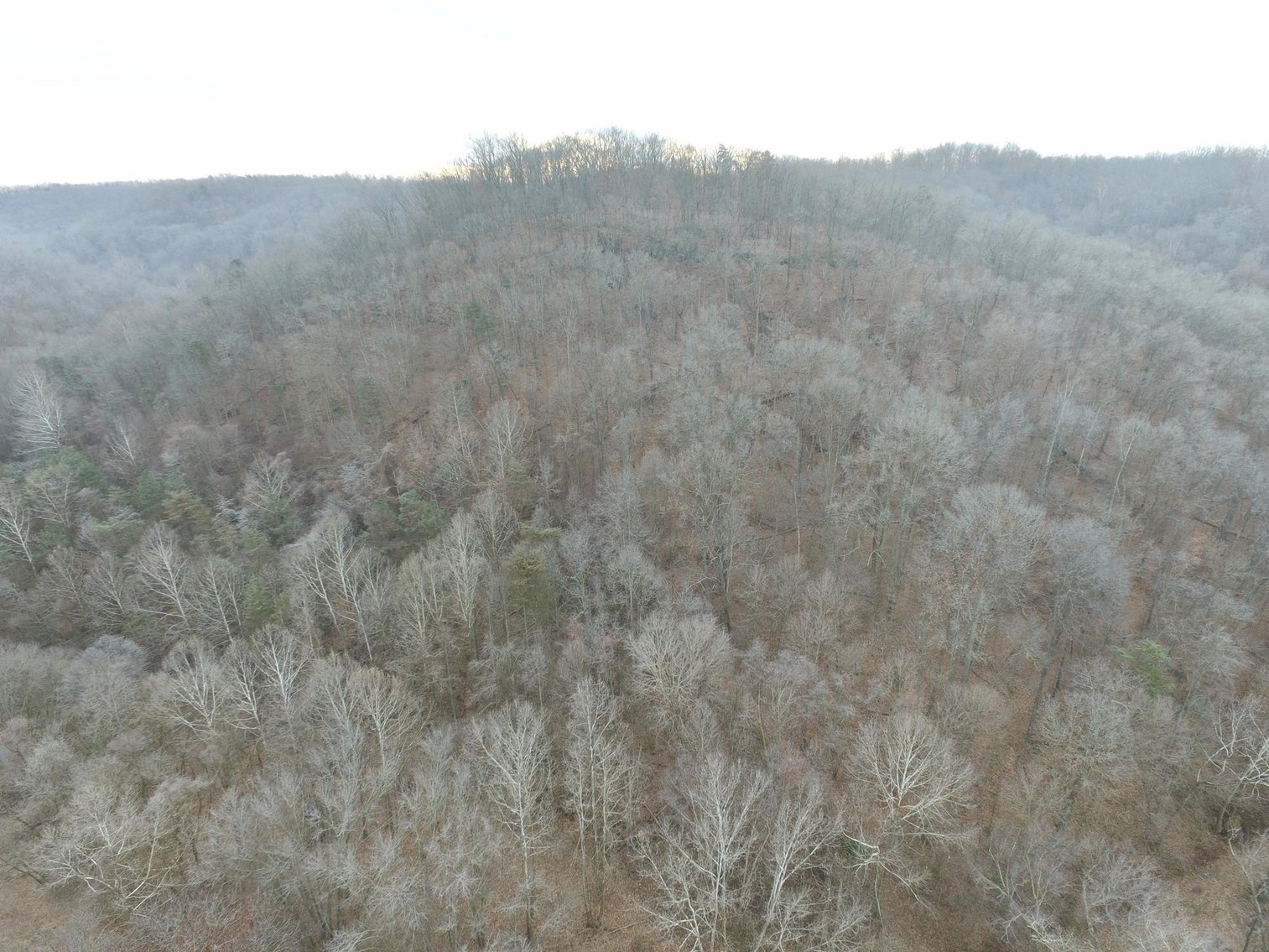 Image for SOLD $187,000 - 88.63+/- Acres in the Heart of Hurricane