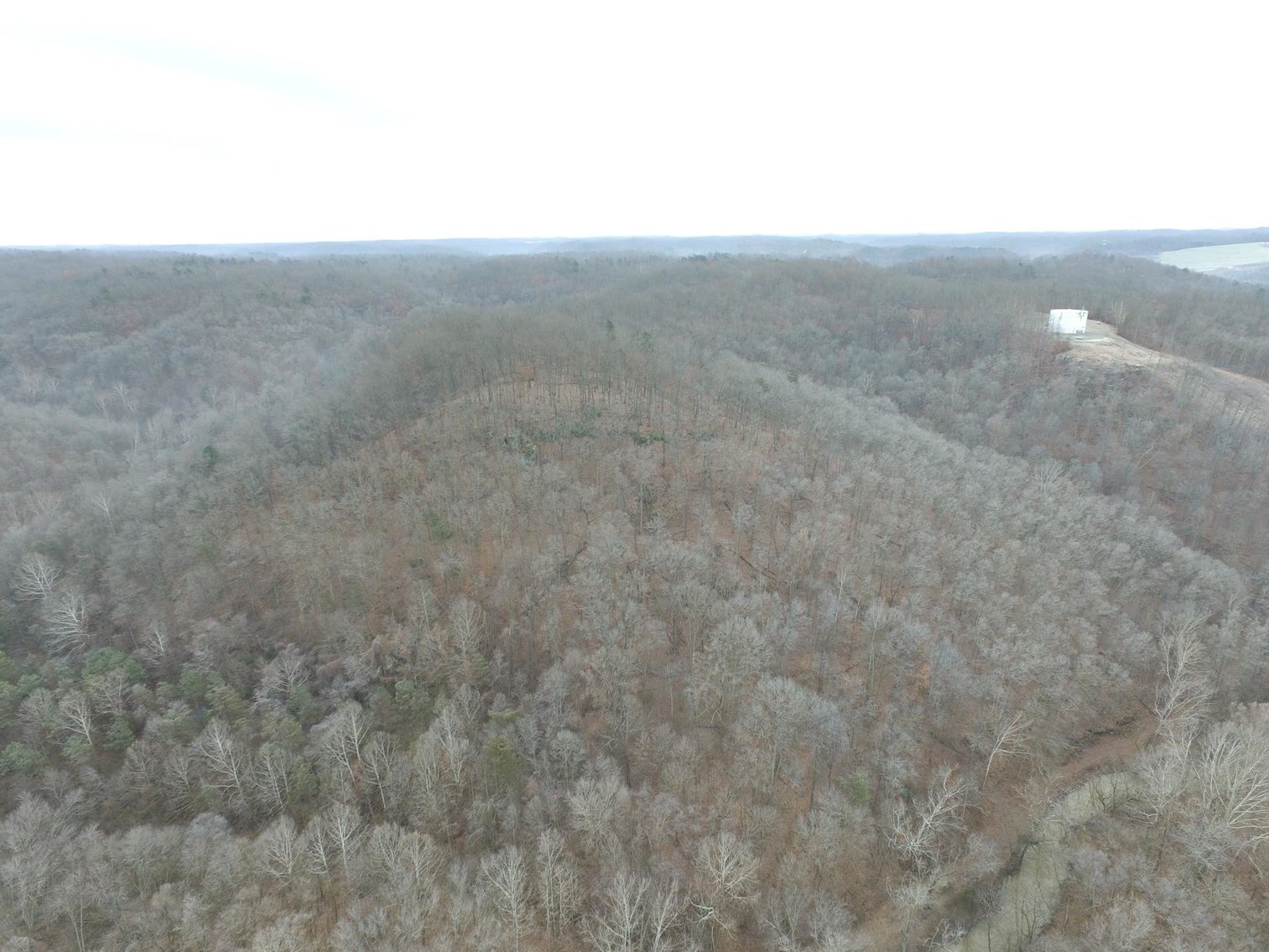 Image for SOLD $187,000 - 88.63+/- Acres in the Heart of Hurricane