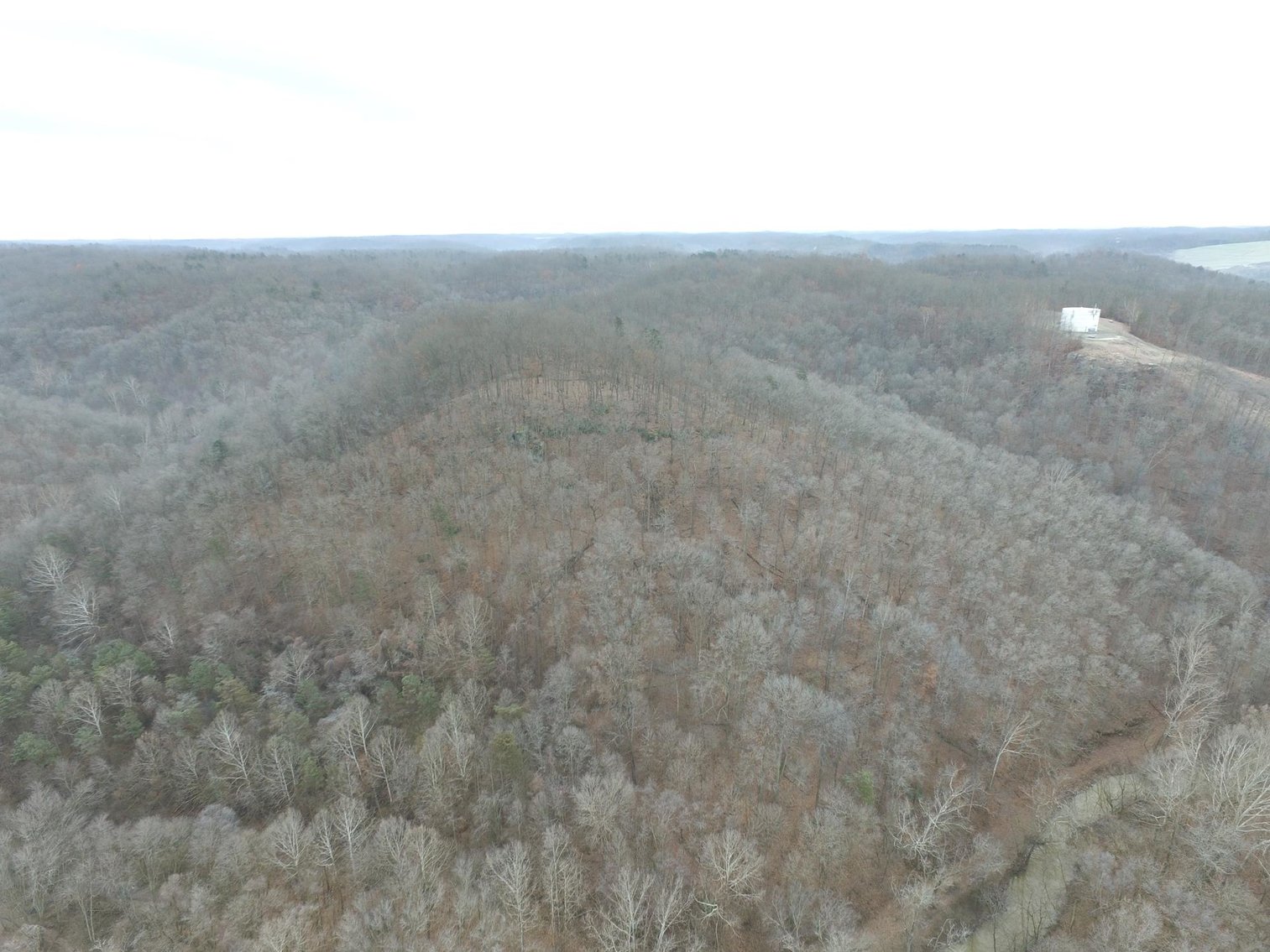 Image for SOLD $187,000 - 88.63+/- Acres in the Heart of Hurricane