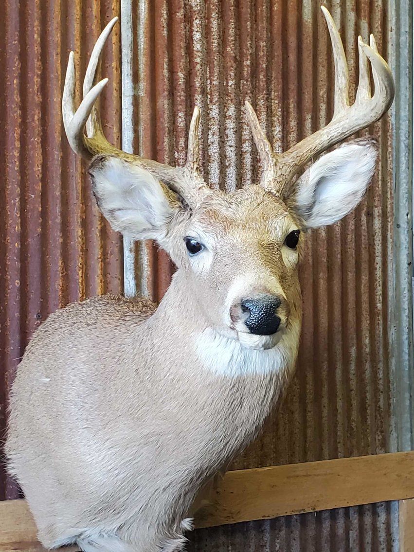 Image for Rusted Bucket Antiques Liquidation Auction