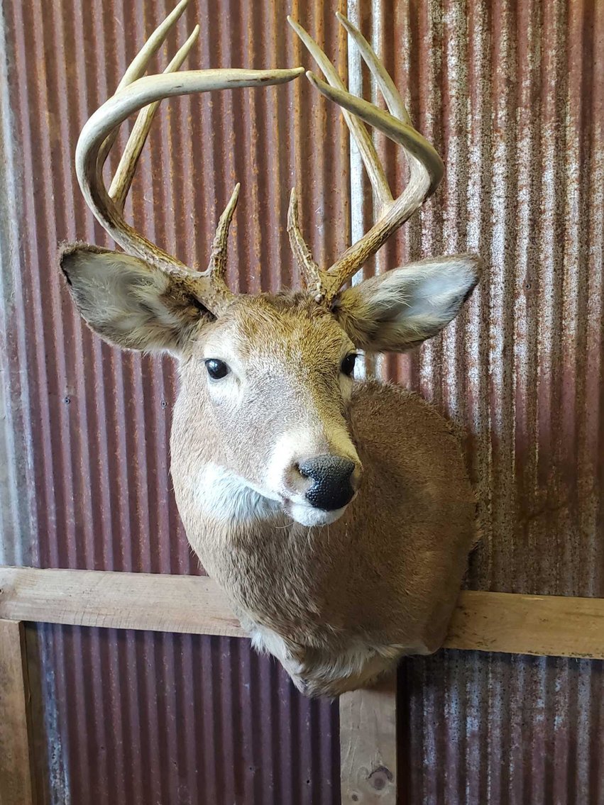 Image for Rusted Bucket Antiques Liquidation Auction