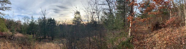 Image for 14.32 Acreage Wooded With Beautiful Mountain Views