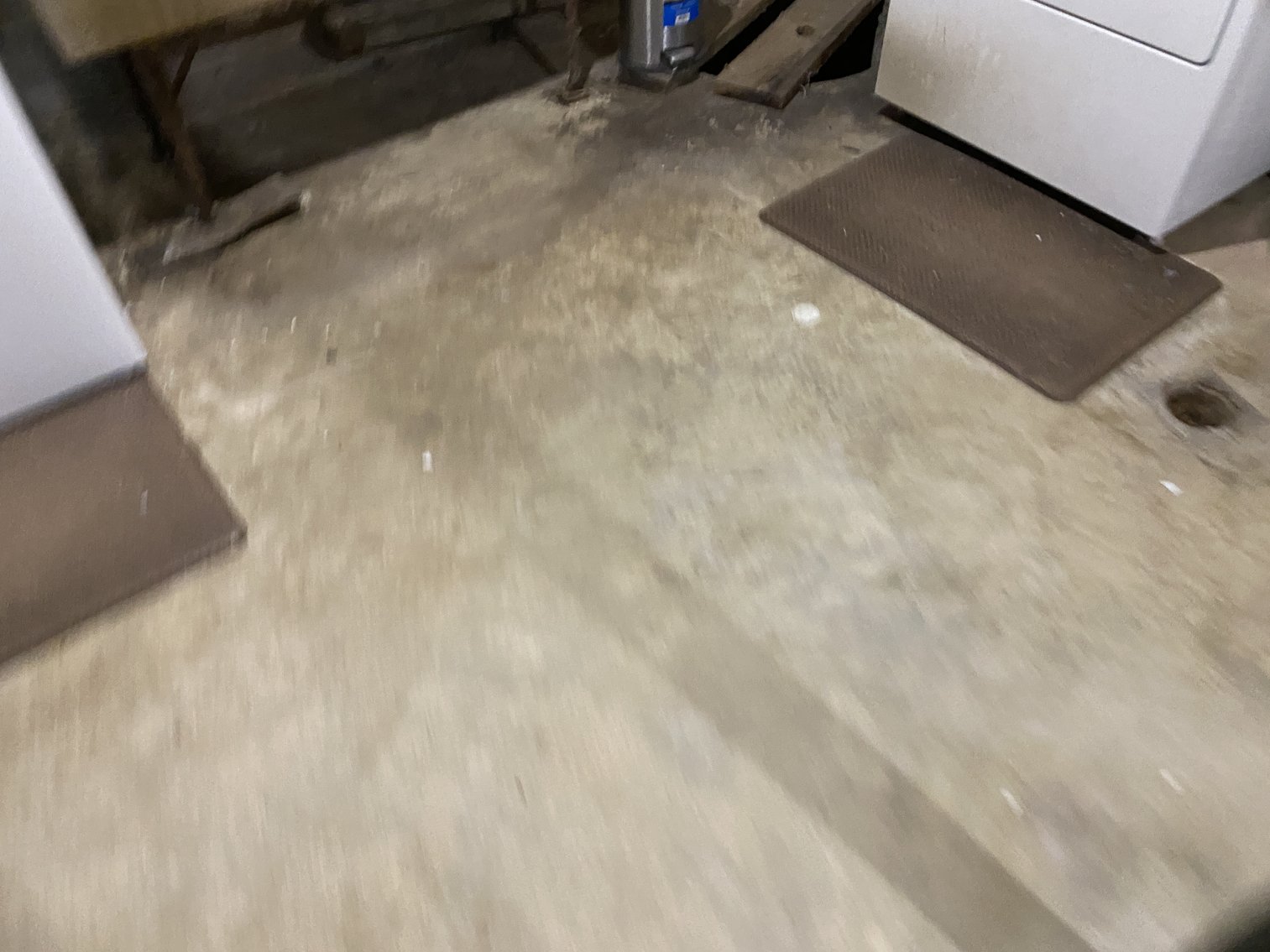 Image for 3 BR/1 BA Brick Home w/Detached 2 Car Garage/Shop on 2.68 +/- Acres in Greene County, VA