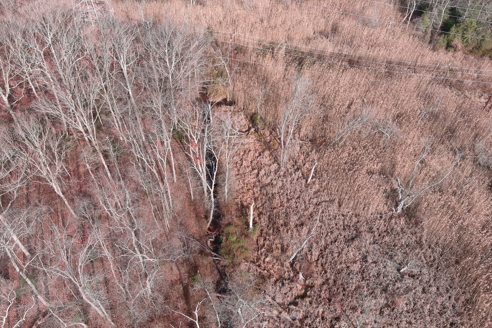 Image for 14.72 +/- Acres including 2,148 +/- SF Single Family Dwelling with Development Possibilities in Elk Township