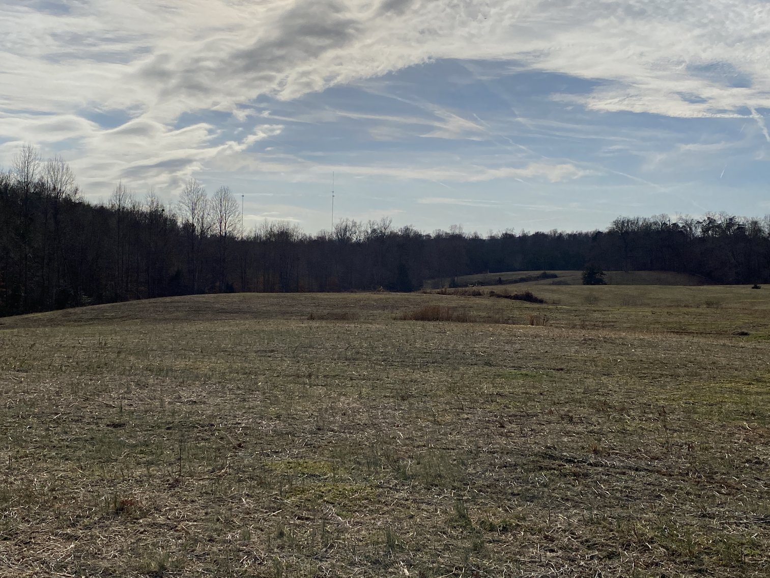 Image for 3 Parcels of Vacant Land Offered Individually & In Their Entirety in Greene County, VA--SELLING to the HIGHEST BIDDER via ONLINE ONLY BIDDING