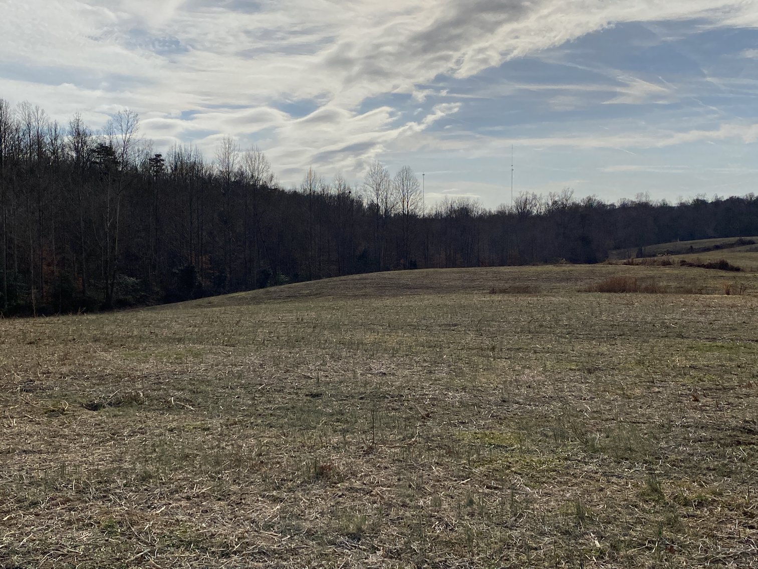 Image for 3 Parcels of Vacant Land Offered Individually & In Their Entirety in Greene County, VA--SELLING to the HIGHEST BIDDER via ONLINE ONLY BIDDING