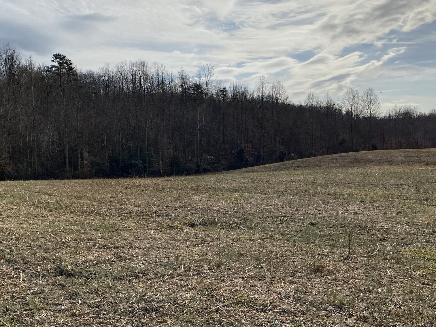Image for 3 Parcels of Vacant Land Offered Individually & In Their Entirety in Greene County, VA--SELLING to the HIGHEST BIDDER via ONLINE ONLY BIDDING