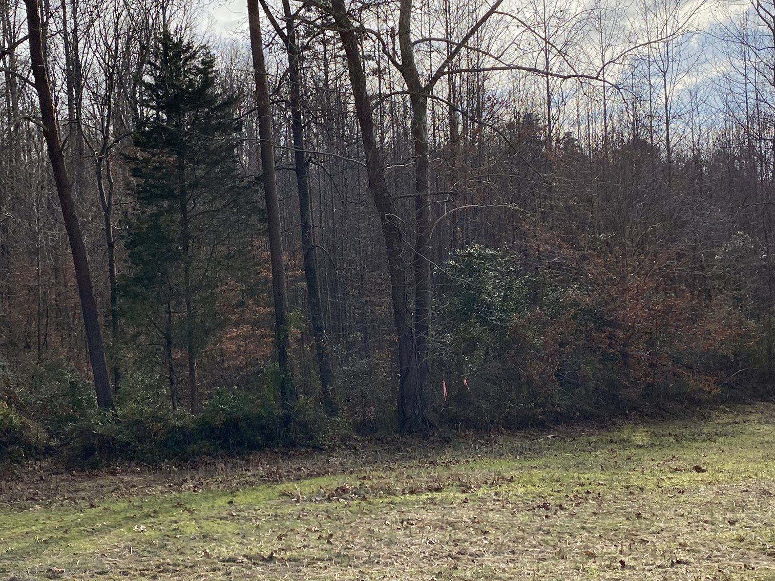 Image for 3 Parcels of Vacant Land Offered Individually & In Their Entirety in Greene County, VA--SELLING to the HIGHEST BIDDER via ONLINE ONLY BIDDING