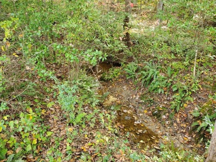 Image for 3 Parcels of Vacant Land Offered Individually & In Their Entirety in Greene County, VA--SELLING to the HIGHEST BIDDER via ONLINE ONLY BIDDING