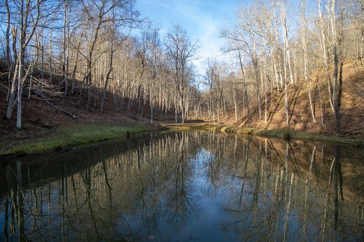 Image for SOLD $467,500 - Beautiful Log home on 185 Acres