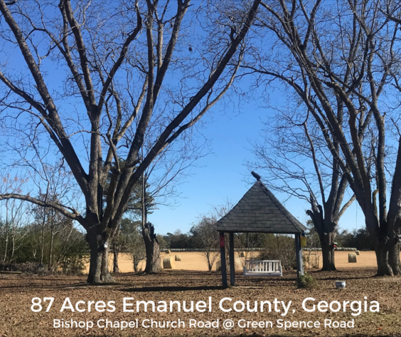 Image for LIVE AUCTION - January 22, 2022