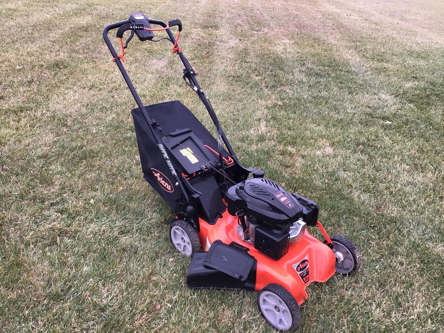 Image for Jerry & Betty Engen Estate