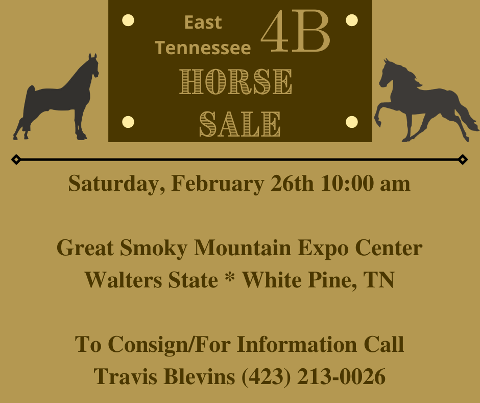 Image for East Tennessee 4B Gaited Horse Sale  White Pine, Tennessee - February 26th