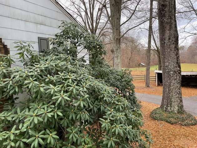 Image for Farmington Road Cottage with 11+/- Acres