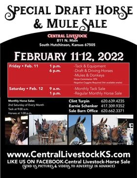 Image for Special Draft & Mule Sale Central Livestock - South Hutchinson, Kansas February 11-12th