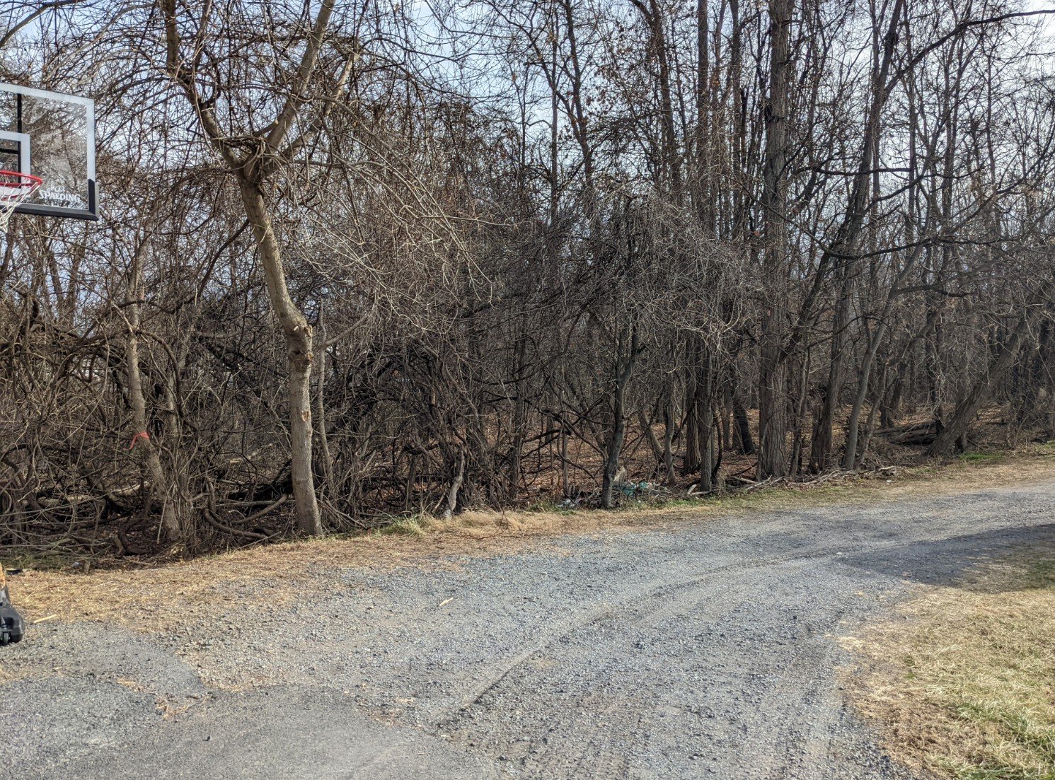 Image for 0.34 +/- Acre Building Lot In City Of Staunton