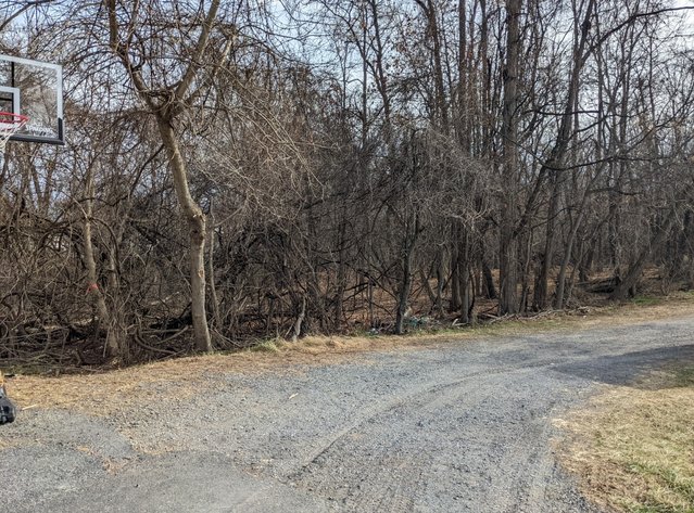 Image for 0.34 +/- Acre Building Lot In City Of Staunton