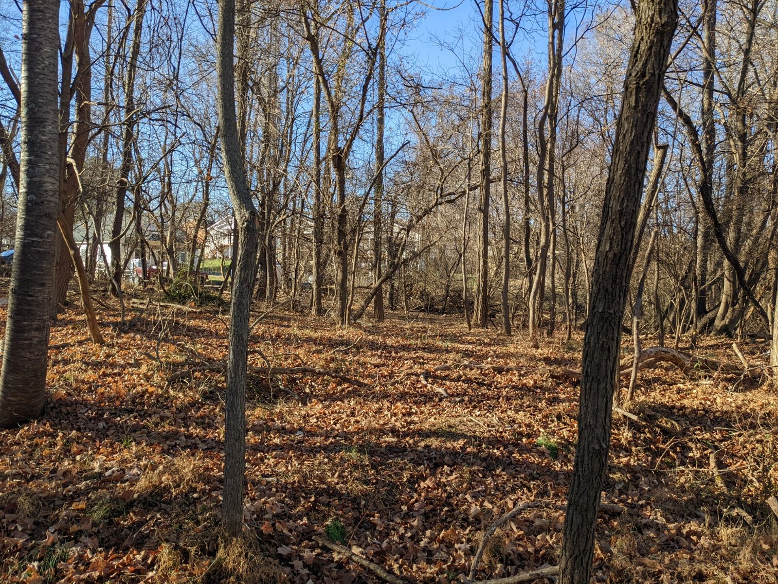 Image for 0.34 +/- Acre Building Lot In City Of Staunton