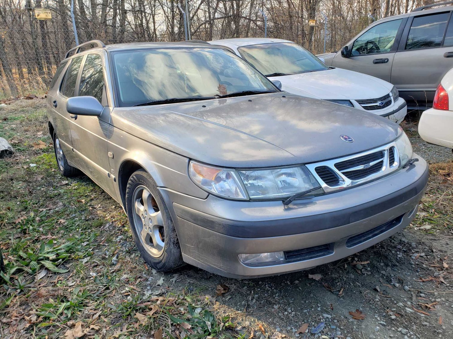 Image for January 2022 Impounds