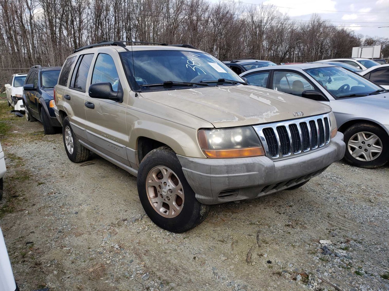 Image for January 2022 Impounds