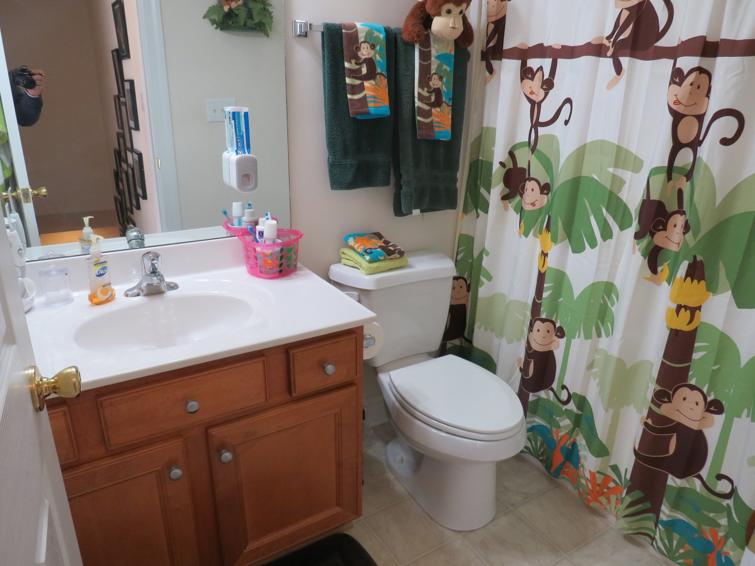 Image for 1101 Chapel Woods Drive Bedford, VA 24523