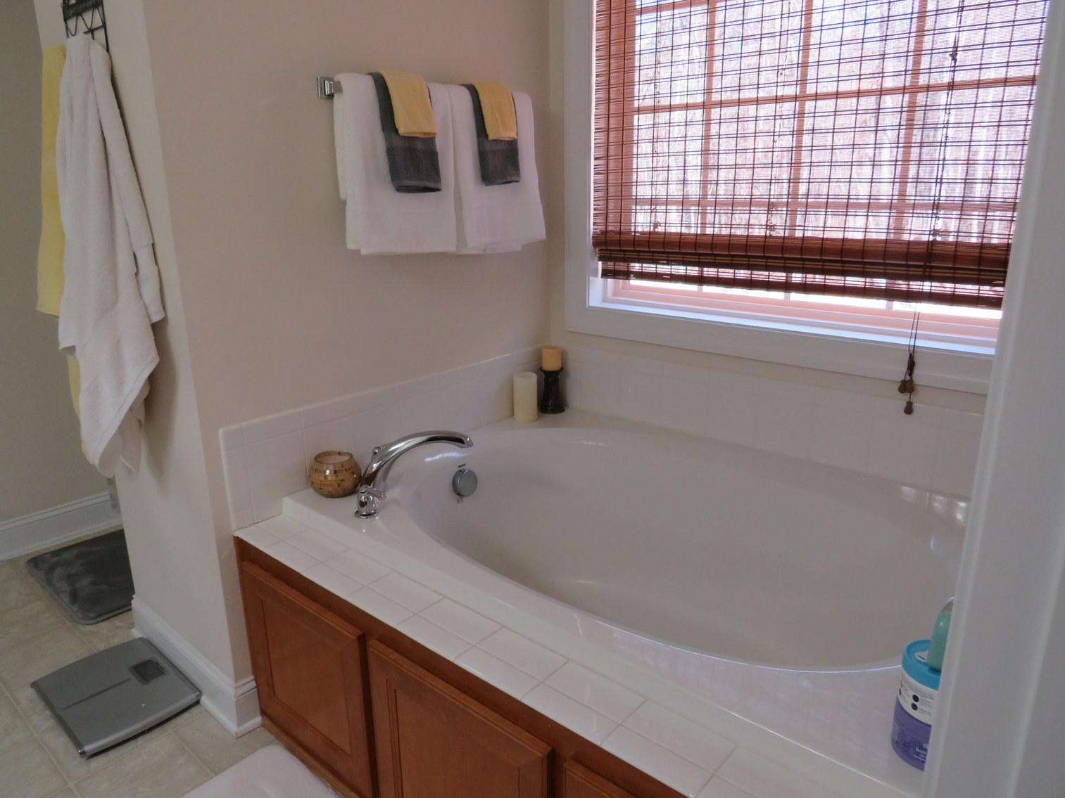 Image for 1101 Chapel Woods Drive Bedford, VA 24523