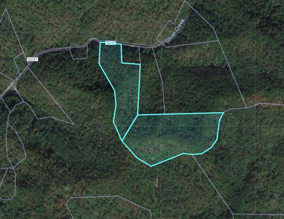 SOLD 4 Tracts of Land in Wayne Co. Selling to the Highest Bidders