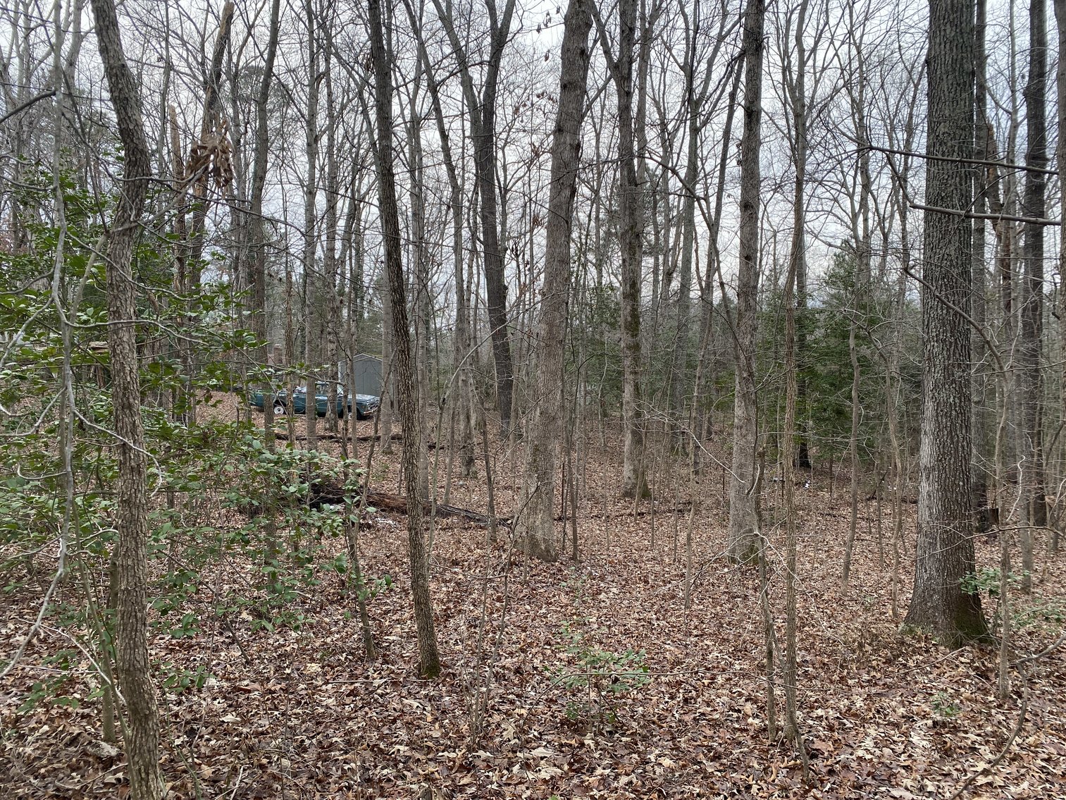 Image for 3 BR/1.5 BA Brick Home on 2.85 +/- Acres--Chesterfield, VA