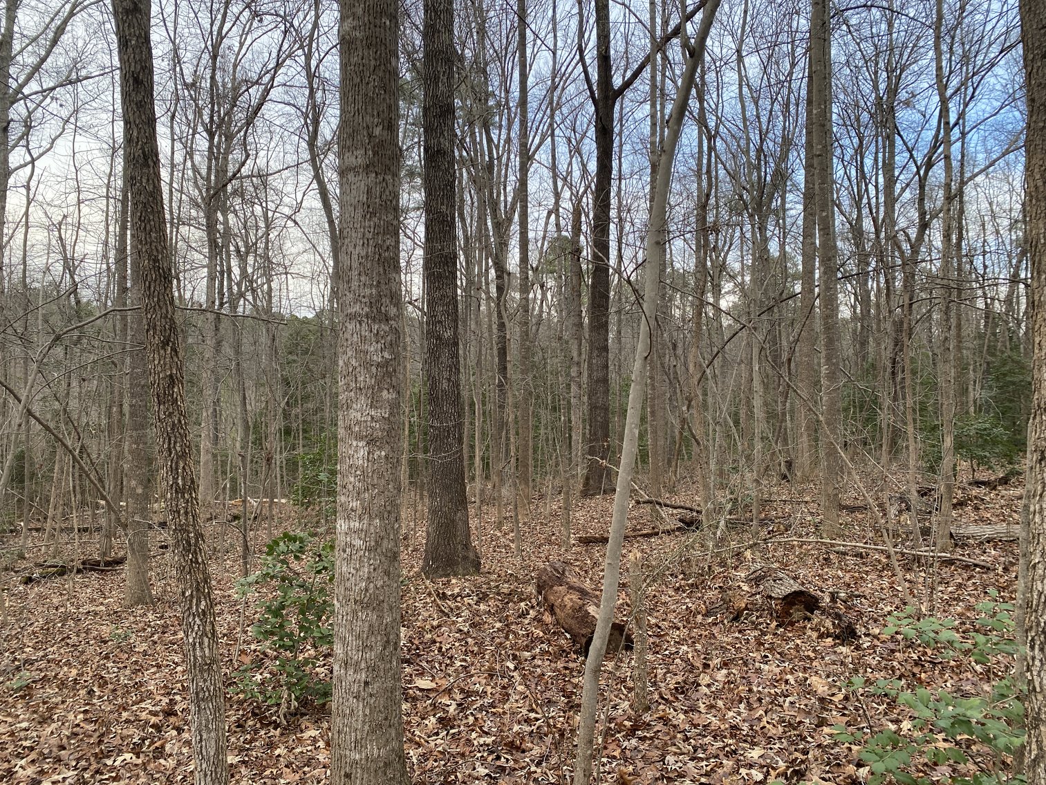 Image for 3 BR/1.5 BA Brick Home on 2.85 +/- Acres--Chesterfield, VA