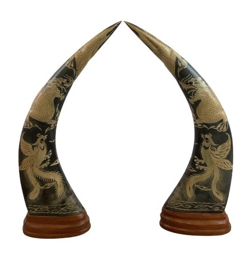 Image for Gallery | Decor | January 20, 2022 at 8:00 PM