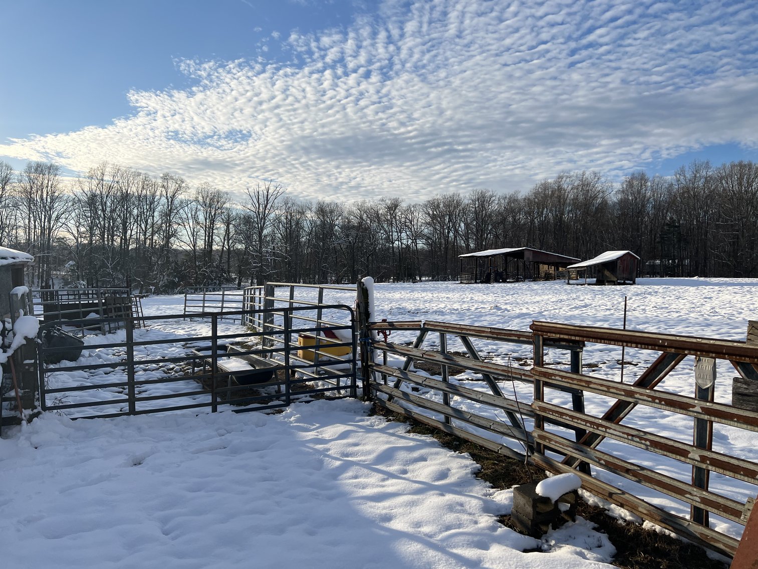 Image for Beautiful Country Living - 1,059 Sq. Ft-  2 Bedroom -1 Bath House - Barn and Work shop -  on 10.6 Acres - 14216 Woodland Church Rd