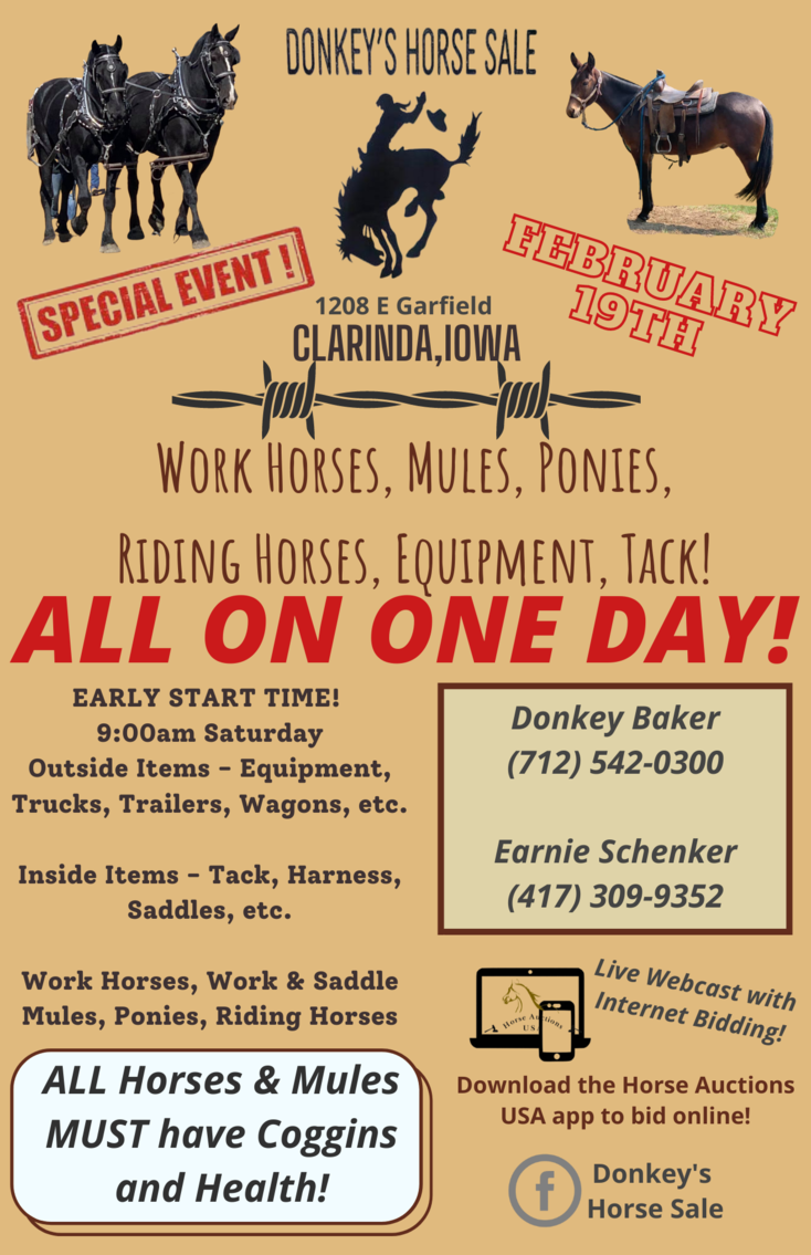 Donkey's Horse Sale DRAFT, MULE, RIDING SPECIAL Clarinda, Iowa