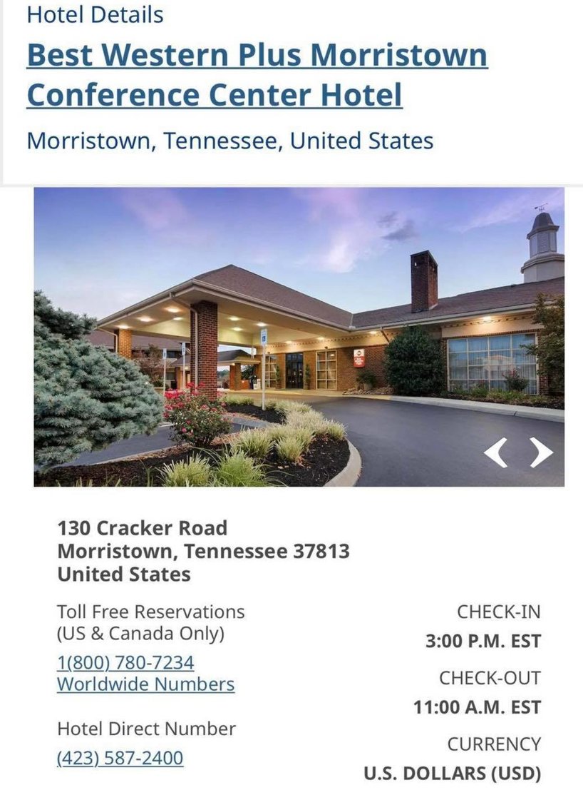 East Tennessee 4B Gaited Horse Sale White Pine, Tennessee February 26th