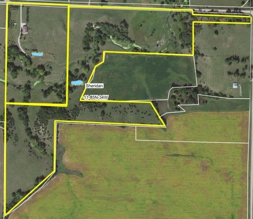 Carroll County Land Auction!