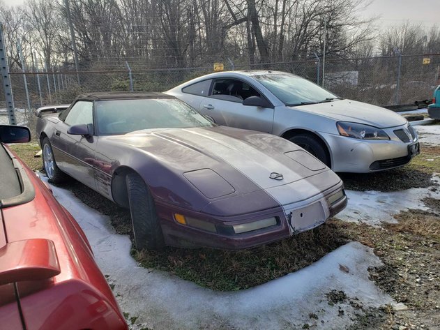 Image for February 2022 LOE Impounds