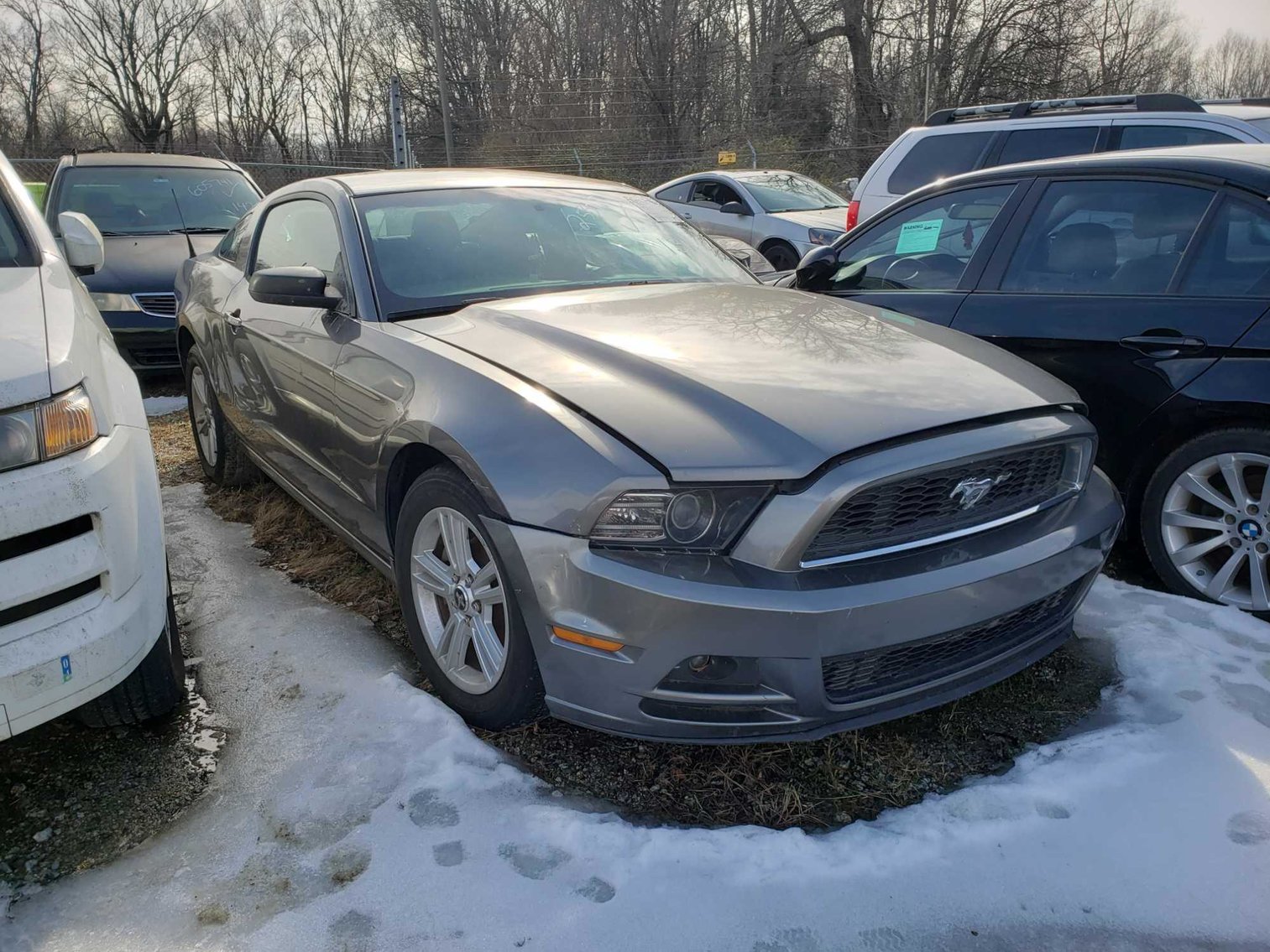 Image for February 2022 LOE Impounds